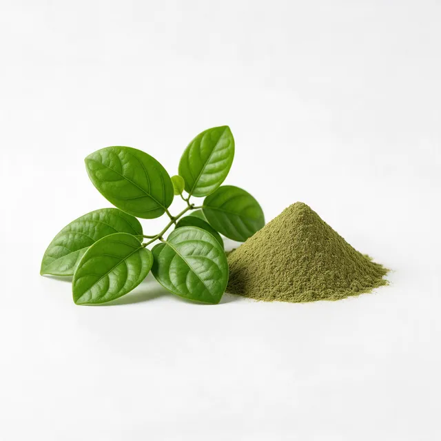 Gymnema sylvestre leaves and powdered extract on a white surface